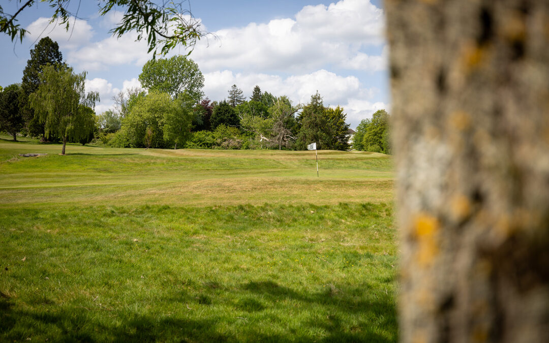 Chiddingfold Golf Club Green