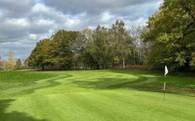 Autumn at Chiddingfold Golf Club in Surrey